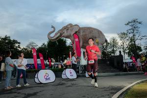 BIB: 
                            <button type="button" onclick="openModal(26529452)" class="btn btn-primary btn-sm float-right btn-popup" data-toggle="modal" data-target=".modal-high-quality">
                        <i class="fas fa-shopping-cart"></i> Add to Cart
                    </button>
                                            <button type="button" onclick="isThisMe(26529452, true)" class="btn btn-success btn-sm float-right btn-popup btn-isme hidden" data-toggle="tooltip" data-placement="bottom" title="นี่คือรูปของคุณใช่ไหม คลิกที่นี่เพื่อเอาเข้าอัลบั้ม">
                        <i class="fas fa-plus"></i> Add to album
                    </button>
                    <button type="button" onclick="isThisMe(26529452, false)" class="btn btn-warning btn-sm float-right btn-popup btn-isnotme hidden">
                        <i class="fas fa-ban"></i> Remove from album
                    </button>